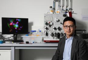 Li Tang, directeur du Laboratoire de biomatériaux pour Immunoengineering (LBI) de l’EPFL et  premier auteur de l’étude. DR Li Tang, directeur du Laboratoire de biomatériaux pour Immunoengineering (LBI) de l’EPFL et  premier auteur de l’étude. DR