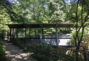 Au Pont du diable, on se retrouve tout à coup en pleine forêt. DR