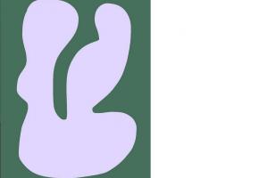 DR