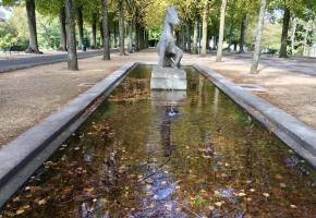 La fontaine Le Poulain jonchée de bois mort. PHK