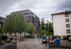 En arrière-plan, la forêt des Faverges qui longe le quartier. Les habitants veulent la protéger MISSON En arrière-plan, la forêt des Faverges qui longe le quartier. Les habitants veulent la protéger MISSON