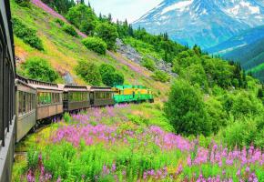 A bord de wagons d’époque restaurés, revivez l’épopée des colons entre Skagway (Alaska) et Whitehorse (Yukon). Le chemin de fer White Pass & Yukon Route traverse des décors grandioses. 123RF/ CARMENGABRIELA A bord de wagons d’époque restaurés, revivez l’épopée des colons entre Skagway (Alaska) et Whitehorse (Yukon). Le chemin de fer White Pass & Yukon Route traverse des décors grandioses. 123RF/ CARMENGABRIELA