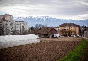 Après la disparition de la ferme Aebi, la Ville veut conserver des terres à vocation agricole à Victor Ruffy. DR