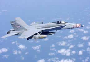 Le FA-18 sera obsolète en 2030. WIKIPEDIA Le FA-18 sera obsolète en 2030. WIKIPEDIA