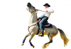 Team Penning Swiss Cup