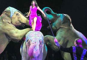 CIRQUE KNIE: Sous le coup de l'émotion