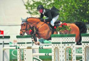 52e Concours Hippique International de Genève