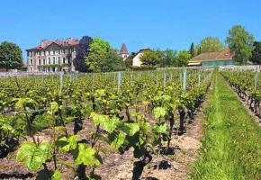 St-Saphorin - Le Château: précisions