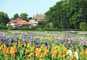 Vullierens sculpte ses jardins