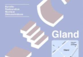 GLAND - Inauguration du Skate-park GLAND - Inauguration du Skate-park