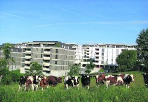 Le quartier de Maillefer va recevoir la Caravane des quartiers. 