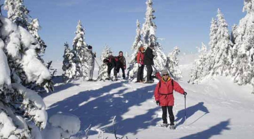 Le lieu est idéal pour les balades en raquettes en pleine nature. 