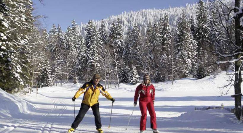 Le royaume du ski de fond. 
