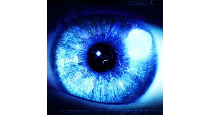 Exposition interactive et très intéressante sur l'oeil et la vision