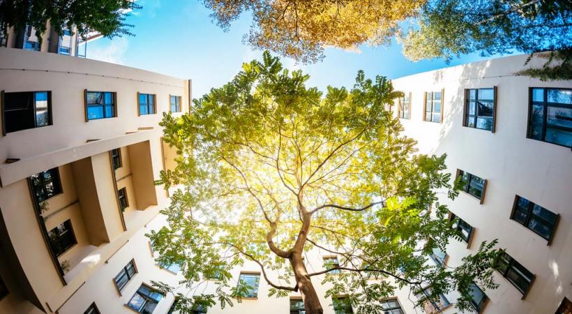 Des idées pour mettre plus de vert dans le bitume? Le concours "Nature en ville" vous laisse le champ libre. GETTY IMAGES / TOMML