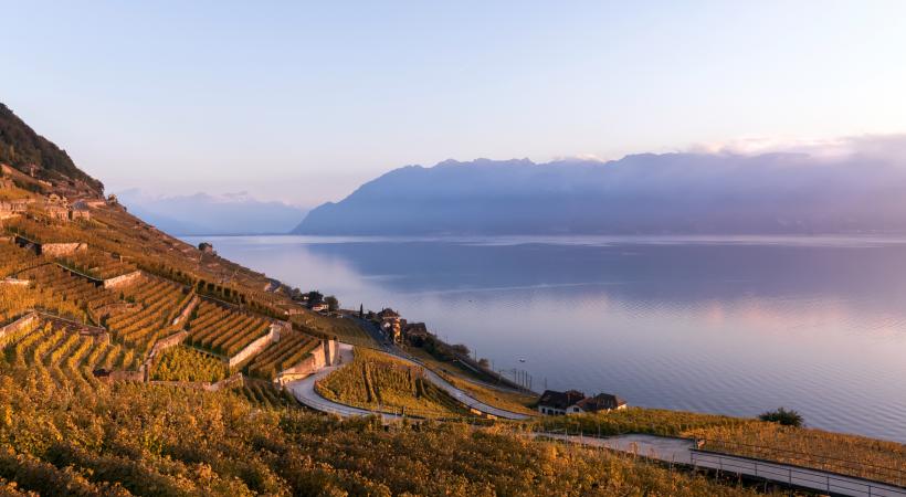 Faire le tour des vignobles du Lavaux sans se perdre en route entre deux dégustations? Possible grâce à la nouvelle application lancée pour les Caves Ouvertes Vaudoises 2017. GETTY IMAGES / EUGENIEK