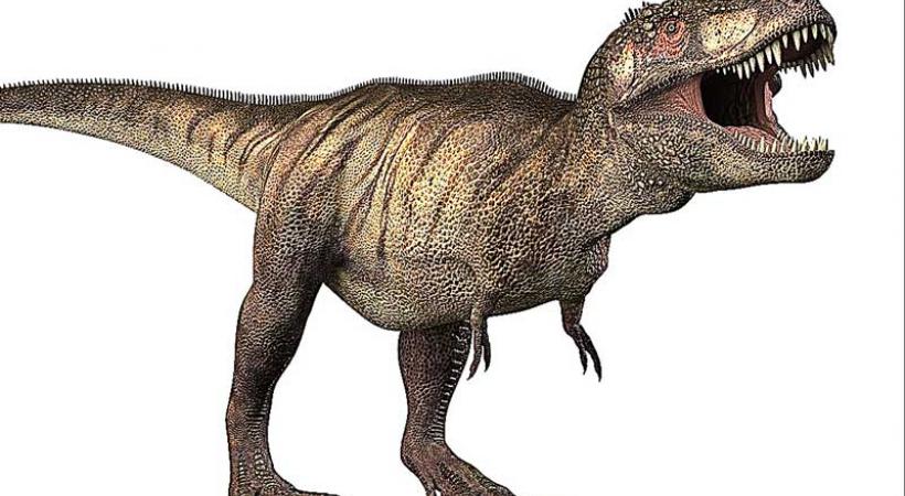 Les répliques des dinosaures seront visibles au Malley. DR