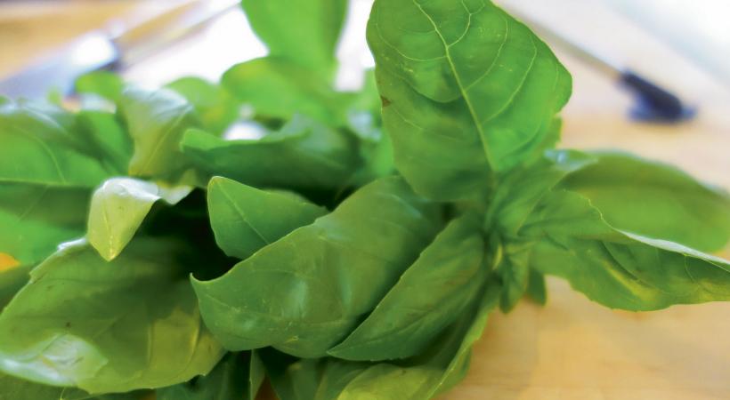 Tagliatelle maison au pesto d’épinard