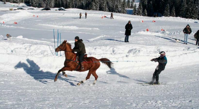 Skijöring à Château-d’Oex