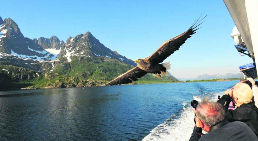 Un spectacle extraordinaire, sans cesse renouvelé, s'offre aux passagers.