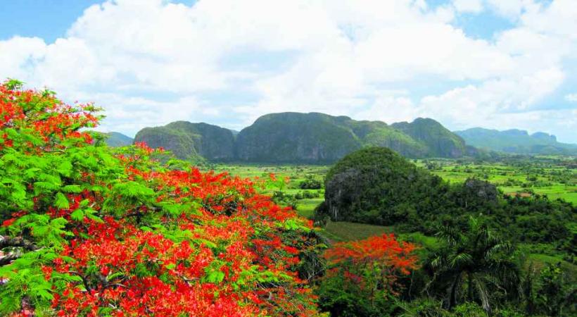 La somptueuse vallée de Viñales. 