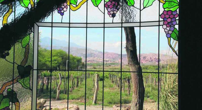 Le vignoble depuis la Casa de la Bodega.