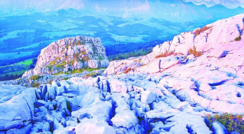 Suisse - Le bonheur est dans les parcs