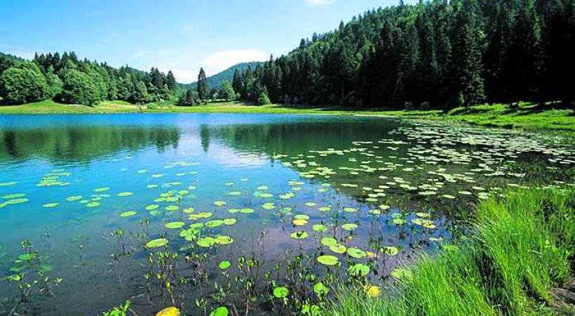 Lac de Nantua