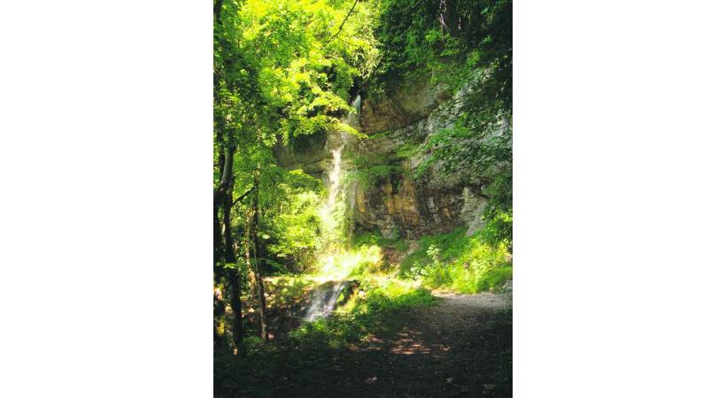 La cascade de Pisse Vache dans les Monts Berthiand.