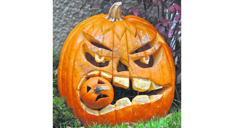 FÊTE DE LA COURGE