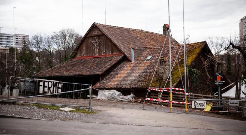 La disparition de la dernière exploitation agricole urbaine de Lausanne est controversée. MISSON