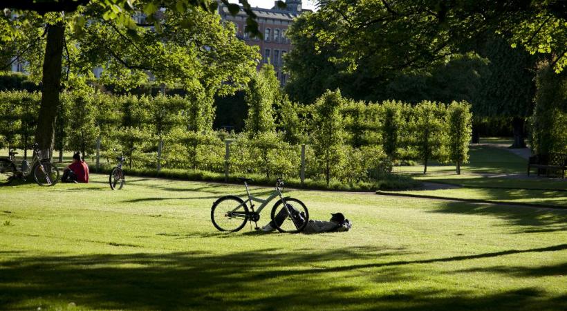  Vile verte par excellence, la capitale danoise compte de nombreux parcs. Ici les jardins du Roi. NICOLEI PERJEIS / DR 