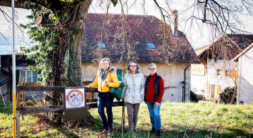 Marinette Wannaz, Laurence Godat et Isabelle Naggar, membres des Amis de Corsy, posent devant le tilleul qui risque d’être abattu.