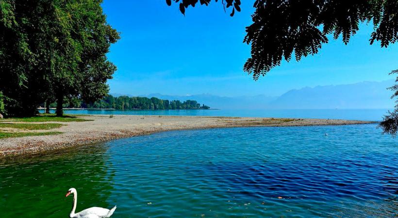 La qualité de l’eau de la plage de la Chamberonne est jugée bonne à moyenne. DR