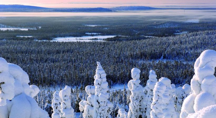  Quelques minutes suffisent pour s’initier à la motoneige. Une expérience unique: l’observation des aurores boréales. Les huskies, incontournables compagnons d’aventure.