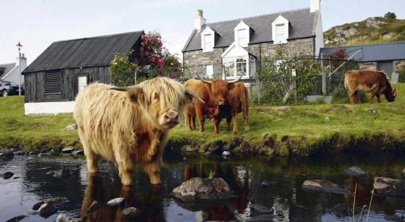  Proches de Stonehaven, les ruines de la forteresse médiévale de Dunottar. PHOTOS KUONI Edimbourg a de quoi enchanter les amoureux d’architecture. Les Ecossais sont farouchement attachés à leurs traditions. Les eaux douces du Loch Shiel, dans les Highlands.