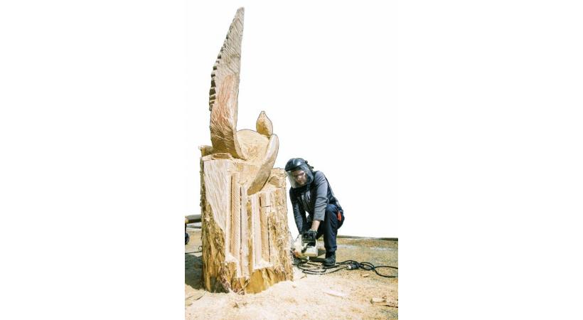 L’été à Thyon permet des randonnées de grande découverte comme les zones humides que sont les Gouilles d’Essertze et les Gouillis.  FRANçOIS PERRAUDIN En trottinette de montagne. NICOLA CUTI Raid ou promenade, le cheval est roi. NICOLA CUTI Un artiste-sculpteur de Montagn’Art à l’œuvre. NICOLA CUTI 