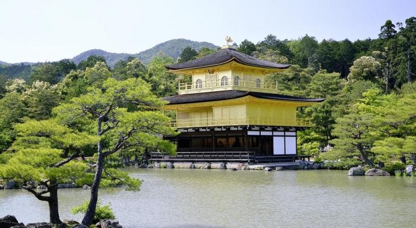 Le Pavillon d’Or, site incontournable de Kyoto. Osaka la nuit. Les plantations de thé près de Wazuka. 