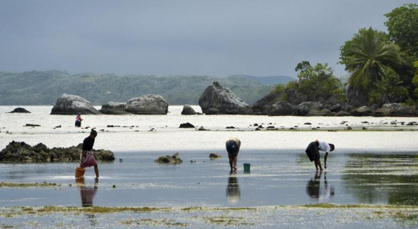 Pêche aux coquillages à Lokintsy.