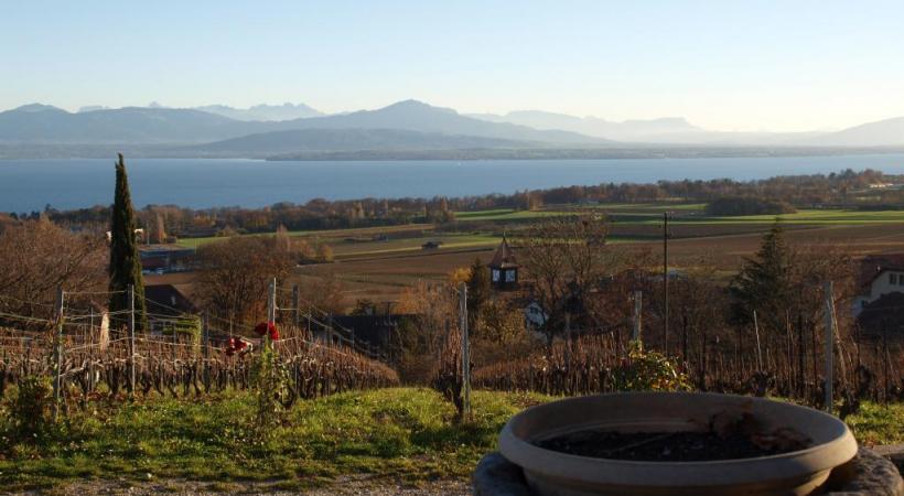 Le Domaine de Penloup bénéficie d’une vue splendide sur le Léman. DR