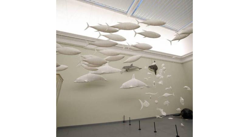   Nuage de Poissons