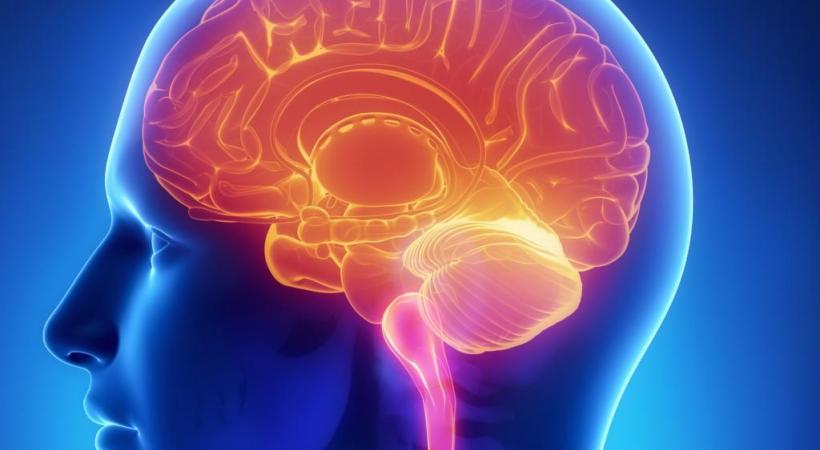  Semaine du Cerveau