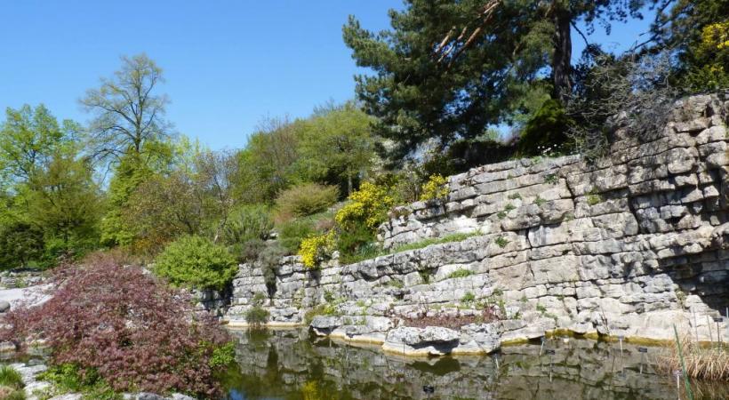 Jardin botanique