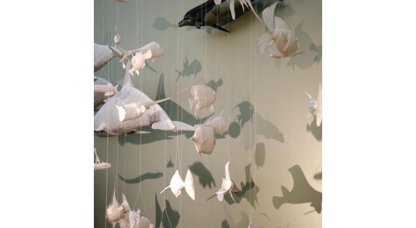 Nuage de poissons