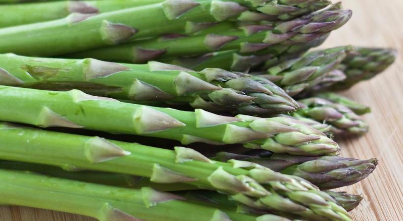 L’asperge est une plante originaire de l’est du bassin méditerranéen. 