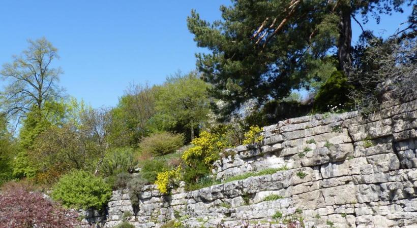  Jardin botanique