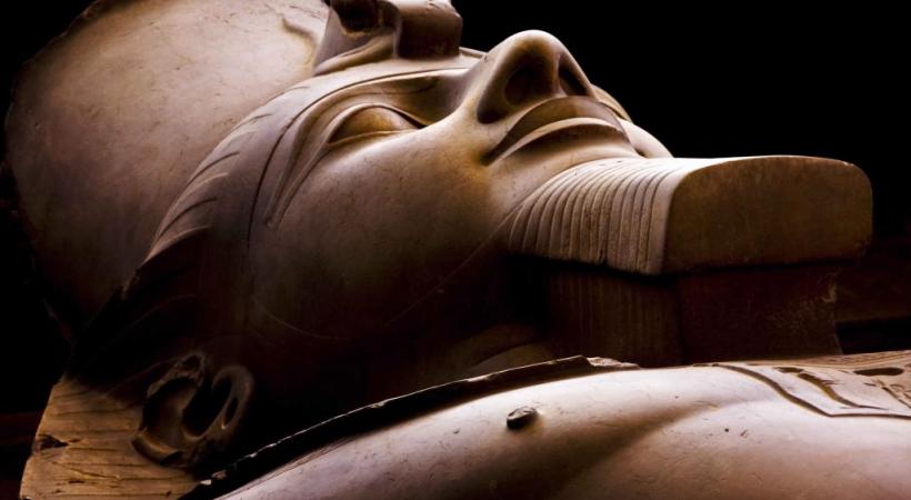 Les pharaons & les animaux désertiques