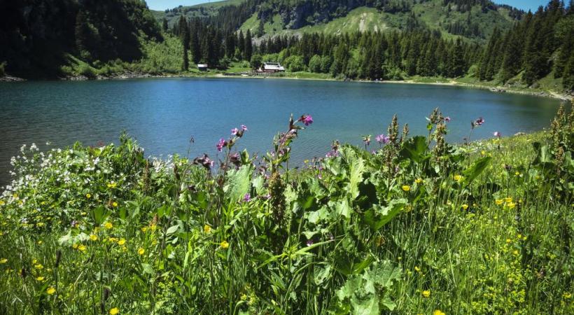 Lac de Chavaonnes