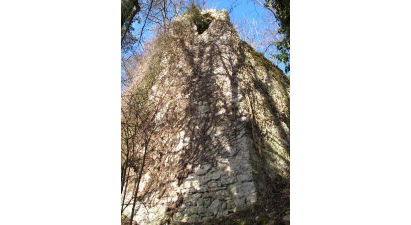 Le château de Montagny.
