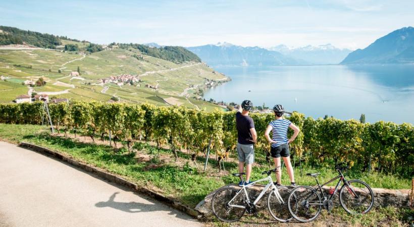Ce tour permet d’admirer la vue imprenable sur les vignobles de Lavaux. GRABET